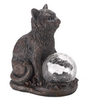 Cat Star Gazer