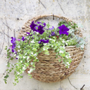 Hyacinth 16in Wall Basket
