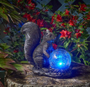 Squirrel Star Gazer