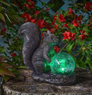 Squirrel Star Gazer