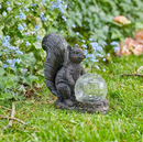 Squirrel Star Gazer