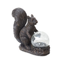 Squirrel Star Gazer