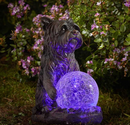 Dog Star Gazer