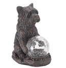 Dog Star Gazer