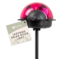 Ladybird Solar Stake Light