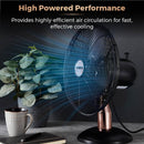 Tower Cavaletto Desk Fan 12"  - Black