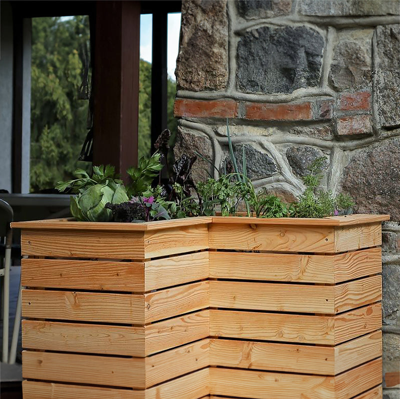 Tina Larch Planter