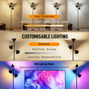 HOMCOM RGB Floor Lamp With 3 Rotatable Head, Modern Standing Lamp, Black