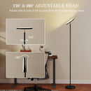 HOMCOM RGB Floor Lamp With Rotatable Head, Modern Standing Lamp, Black