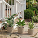 Outsunny Seagrass Plant Pots Flower Planters Bohemian Style Set of 3 Natural