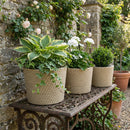Outsunny Seagrass Plant Pots Flower Planters Bohemian Style Set of 3 Natural