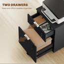 HOMCOM 2 Drawer Filing Cabinet with Adjustable Hanging Bars for A4 and Letter