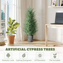 HOMCOM Set of 2 Artificial Cypress Trees with PE Leaves for Indoor Outdoor