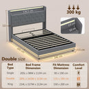 HOMCOM Lift up Storage Bed Frame with RGB LED Lights Dark Grey
