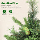 HOMCOM 180cm Christmas Tree with Colourful DIY LEDs, Remote, Carolina Pine