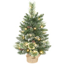 HOMCOM 60 cm Prelit Mini Tabletop Christmas Tree, Snow Flocked Xmas Tree