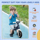 AIYAPLAY Balance Bike  for 1.5 - 3 Years Old - Blue