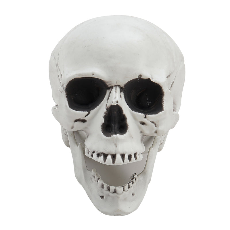 Halloween Realistic Plastic Skull Tabletop Decoration
