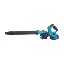 Livingandhome Cordless Handheld Leaf Blower with 2 Batteries