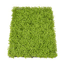 Lifeideas Artificial Living Wall Hedge Plant Panel