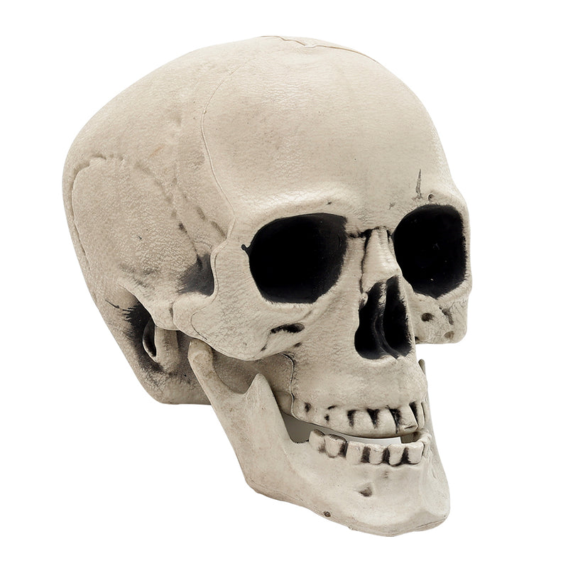 Halloween Realistic Skull and Bone Skeleton Decoration Kit