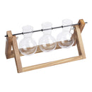 Lifeideas Modern 3pcs Bulb Glass Terrariums with Wood Stand Set