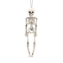 Realistic Posable Hanging Skeleton for Halloween