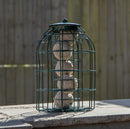 Samuel Alexander Metal Hanging Bird Fat Ball Feeder with Squirrel Guard & Pack of 6 Suet Fat Balls