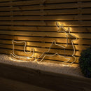 42cm Light up Hanging Christmas Reindeer and Sleigh Silhouette with Warm White LEDs