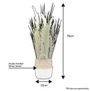 Wild Grass In A Wicker Basket