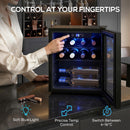 HOMCOM 12 Bottle Wine Cooler, 4-16°C Under Counter Drinks Beer Wine Fridge