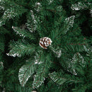 7ft (2.1m) Tall Rocky Mountain Pine Christmas Tree with 1208 Snow Tipped Branches & Pinecones