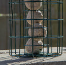 Samuel Alexander Metal Hanging Bird Fat Ball Feeder with Squirrel Guard & Pack of 6 Suet Fat Balls