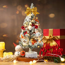 Lifeideas Tabletop Christmas Tree with LED Lights