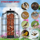 Samuel Alexander Pack of 3 Hanging Nut Seed & Fat Ball Bird Feeders with Squirrel Guard