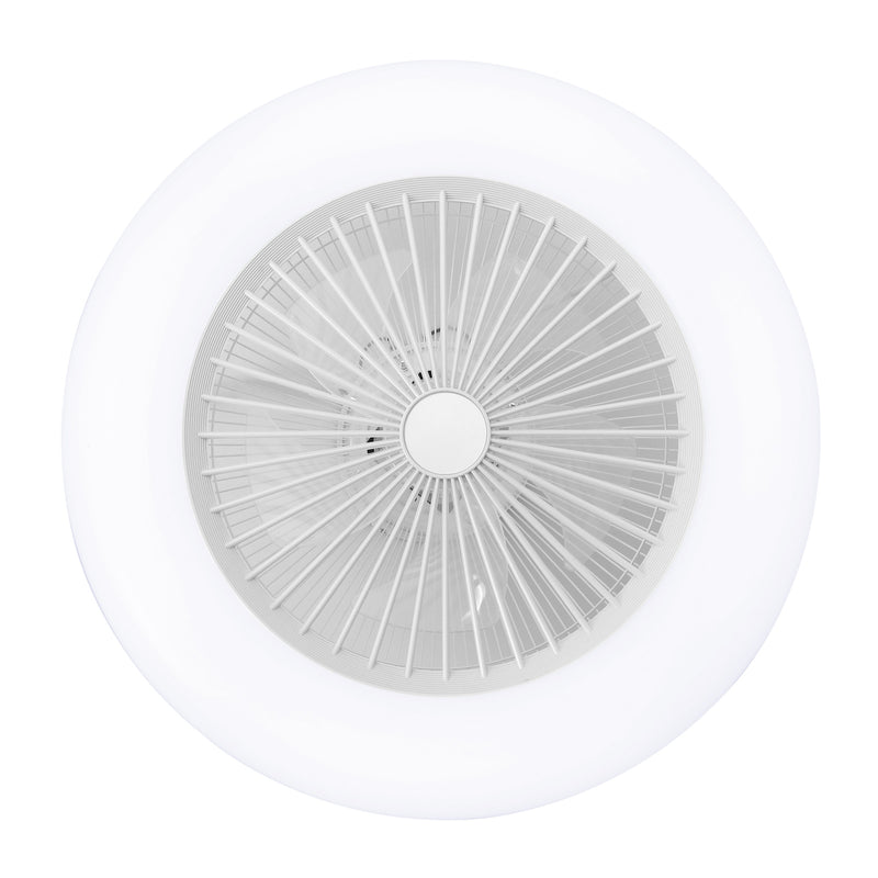 Cottonfy UK Acrylic Ceiling Fan Light with Dimming