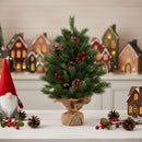 Lifeideas 2ft Small Christmas Tree with LED Lights