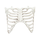 Halloween Realistic Skull and Bone Skeleton Decoration Kit