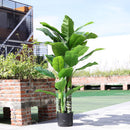 Breeins Artificial Tropical Plant with Plastic Pot
