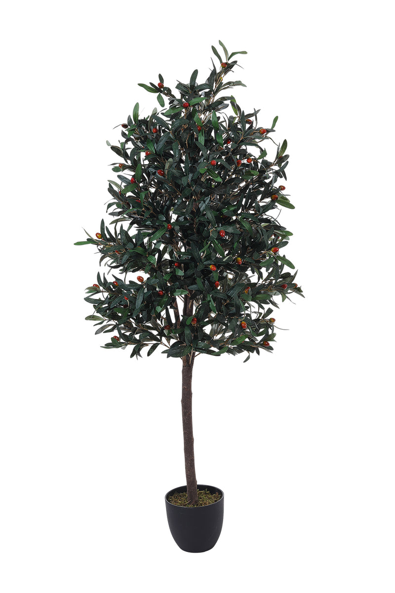 Breeins Artificial Olive Tree Decorative Plant in Planter