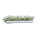 Lifeideas Silk White Rose Row for Decoration
