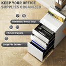 Vinsetto Steel File Cabinet with Lock and Wheels for Home Office