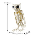 Halloween Owl Skeleton Prop