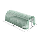 Breeins Green Outdoor Walk-in Tunnel Greenhouse with Steel Frame