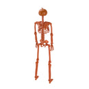 Foldable Pumpkin Head Skeleton