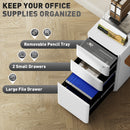 Vinsetto Steel Filing Cabinet with Lock and Wheels for Home Office