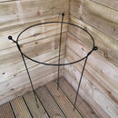 2 Pack Of Tom Chambers Cottage Heavy Duty Black Metal Steel Herbaceous Garden Plant Support Ring Large 80cm X 45cm
