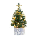 Lifeideas Mini Christmas Tree with Warm Lights