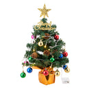Lifeideas Tabletop Christmas Tree Decoration with LED String Light