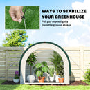 Outsunny Foldable Small Greenhouse, Mini Greenhouse With PE Base, Green